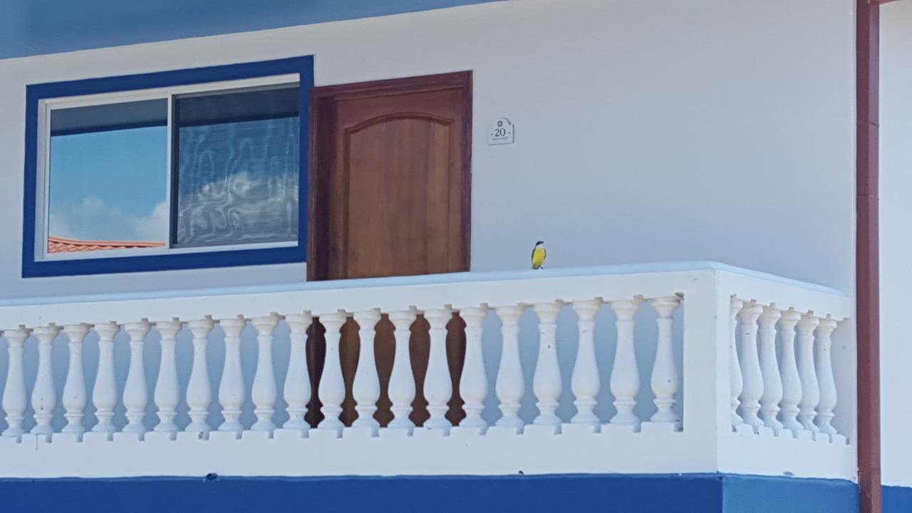Hotel Grosseto Palma Real Loma Eksteriør billede