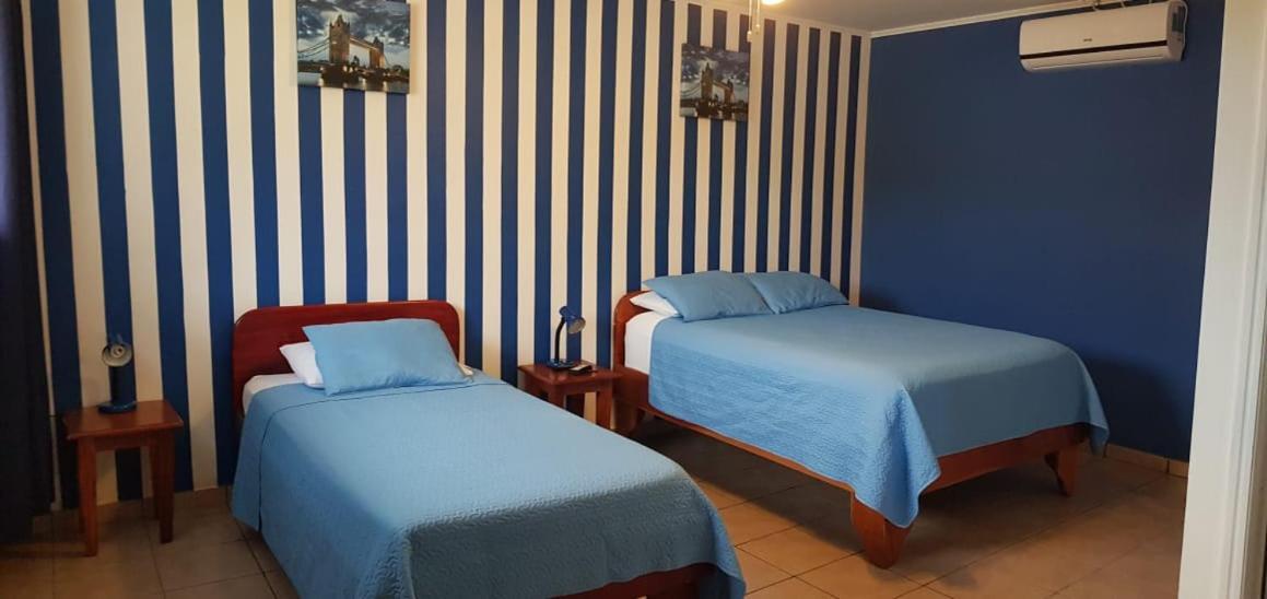 Hotel Grosseto Palma Real Loma Eksteriør billede